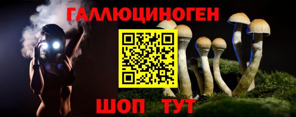 Галлюциногенные грибы Psilocybine cubensis  Вход с VPN  Галлюциногенные грибы MAGIC MUSHROOMS  Великий Новгород 